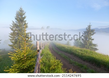 Path on the mountain top, mountains in deep fog. Ukraine, Carpathians.