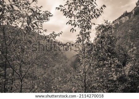 Old style photo of Accursed mountain forest in Albania. Theth-Shkoder region