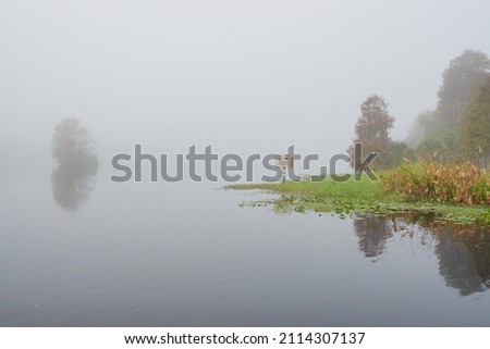 Morning Fog on Hillsborough river at Tampa, Florida	