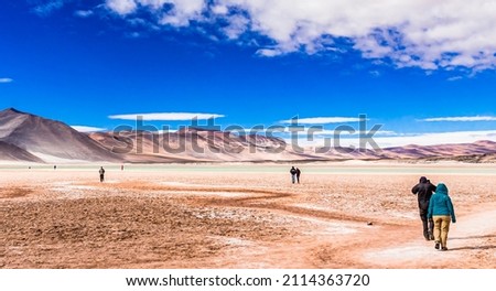 View on Laguna Salar de Talar with the Andes Mountain, San Pedro de Atacama, Antofagasta Region, Chile