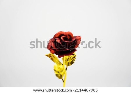 Antique rose that shines chicly