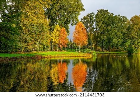 The autumn foliage of the trees is reflected in the pond. Autumn pond trees. Autumn trees reflection in water. Autumn nature landscape