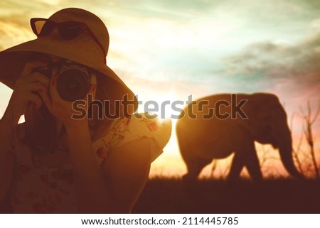Young woman using a digital camera to takes picture elephant in the savanna while having safari tour holiday. Shot at sunset time