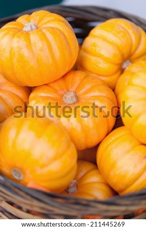Decoration pumpkin of Halloween