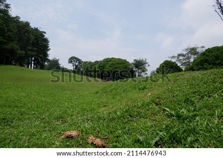 nature green grassy golf field under a cloudy sky in summer day