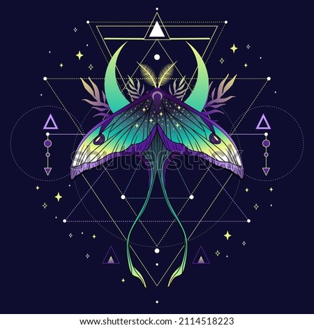Beautiful cute vector illustration of butterfly in violet colors. For print for T-shirts and bags, decor element. Mystical and magical, astrology illustration