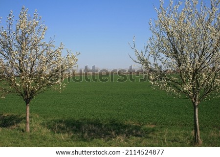 Beautiful green fields in the European countryside