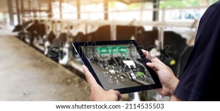Smart Agritech livestock farming.Farmer Hands using digital tablet with blurred cow as background Royalty-Free Stock Photo #2114535503