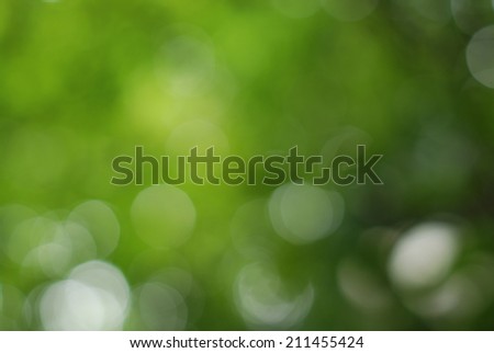 green bokeh from tree 