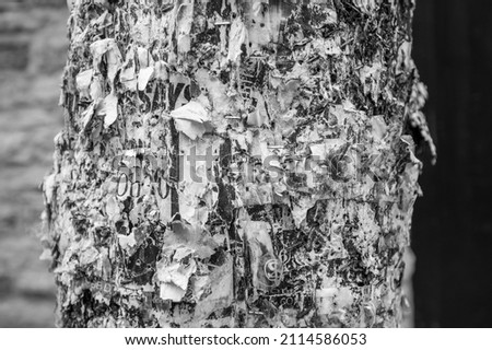 Lamp Post Is Covered In Old Postings That Have Disintegrated Over Time Leaving Behind Staples And Almost Papier-Mâché (Paper Mache). The image predominately features the post, covered in old paper. Royalty-Free Stock Photo #2114586053