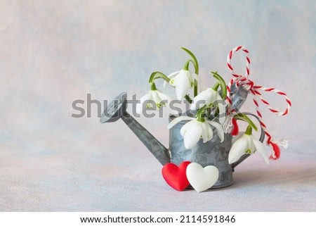A bouquet of snowdrops in a watering can, a red-white cord and hearts on a decorative background. Postcard for the holidays in March. Royalty-Free Stock Photo #2114591846