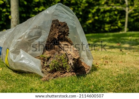 A plastic bag of garden waste including tree bark and vegetation, lying on grass in the summer sun Royalty-Free Stock Photo #2114600507
