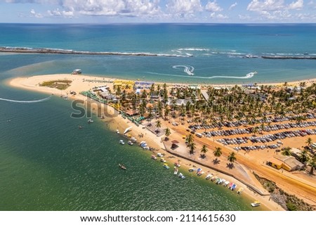 Aerial view of Gunga Beach or "Praia do Gunga", with its clear waters and coconut trees, Maceio, Alagoas. Northeast region of Brazil. Royalty-Free Stock Photo #2114615630