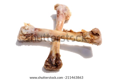 Genuine Chicken Bones in the sign of a Cross as would be seen on a pirate flag featuring the dreaded Skull and Crossbones symbol. isolated on white with room for your text.