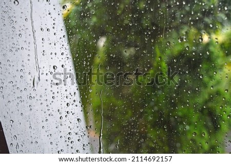 View of a house window's glass full of raindrops and the blurred green leaves in the background.