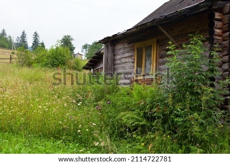 Abandoned wooden  hut  in high grass on the mountain meadow with bright flowers.