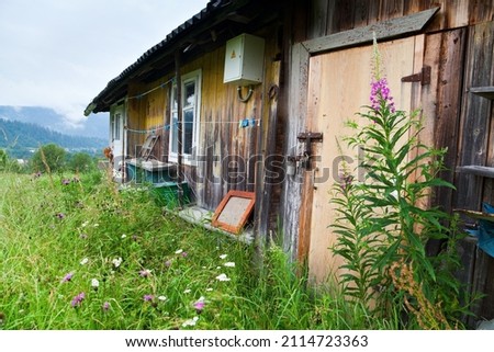 Abandoned house on the mountain top among grass and flowers.