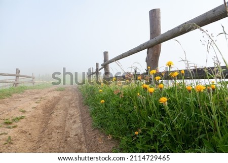 Yellow flowers near a wooden fence, mountain road leads into the fog. The Carpathian mountains.