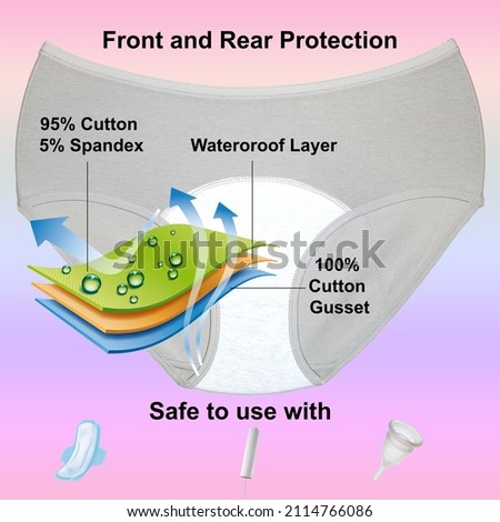 woman's panties flat lay grey infographics