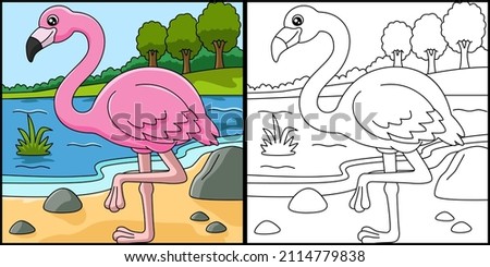 Flamingo Coloring Page Vector Illustration