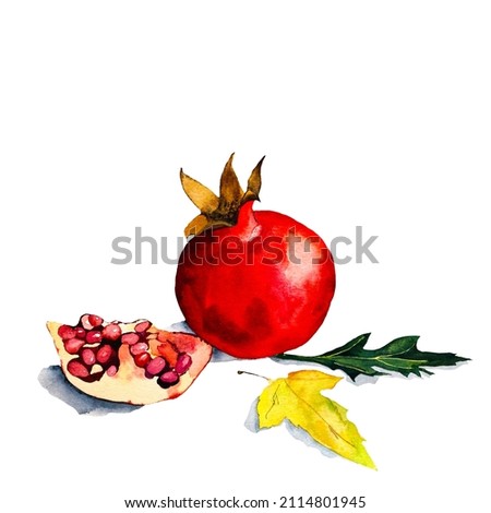 Pomegranate set composition watercolor isolated on white background.
Fresh ripe whole and cut pomegranate with seeds and leaves set. Watercolor hand drawn illustration, isolated on white background