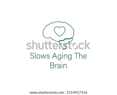 slows aging the brain icon vector illustration 