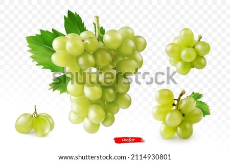 Set of green grape isolated on white. Realistic vector illustration of yellow grape. Royalty-Free Stock Photo #2114930801