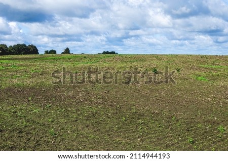 Abandoned field that farmers stopped working Royalty-Free Stock Photo #2114944193