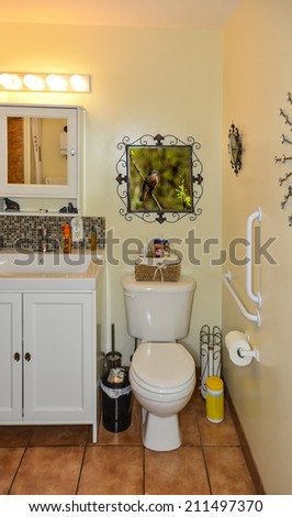Modest washroom with mirror, toilet unit, sink and picture no the wall. Interior design.