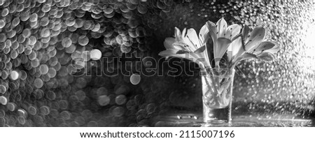 artistic picture with Shallow depth of field -flower in a glass vase and light bokeh Royalty-Free Stock Photo #2115007196