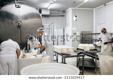 Manual workers in cheese and milk dairy production factory. Traditional European handmade healthy food manufacturing. Royalty-Free Stock Photo #2115029417