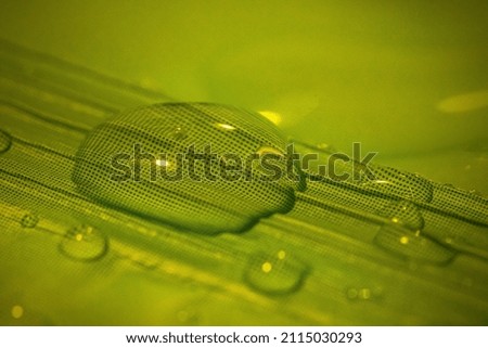 Water drop on green striped background