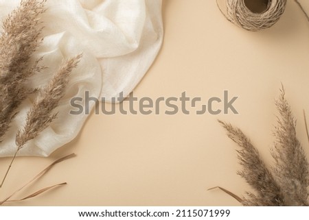 Top view photo of white light scarf spool of twine and reed flowers on isolated beige background with copyspace