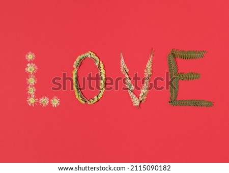 Word LOVE made of dried flowers and leafs. Flat lay horizontal composition on pastel red background, minimal romantic Valentines or International Women's day vintage concept
