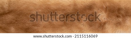 Fur texture close up background Fur Textured Background Royalty-Free Stock Photo #2115116069