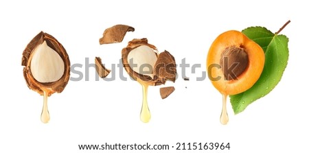 A set with Fresh raw sweet Apricot with green leaves isolated on white background. High resolution collection Royalty-Free Stock Photo #2115163964