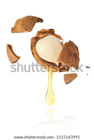 Apricot oil dripping from the seed. isolated on white backround. High resolution image Royalty-Free Stock Photo #2115163991