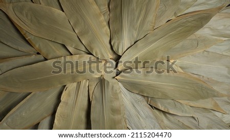 Green bamboo leaves backgrounds slow rotation. Food grade bamboo leaves backdrop for Cantonese style Zongzi, bamboo wrapped sticky rice dumplings cooked on Dragon Boat Festival, Duanwu.