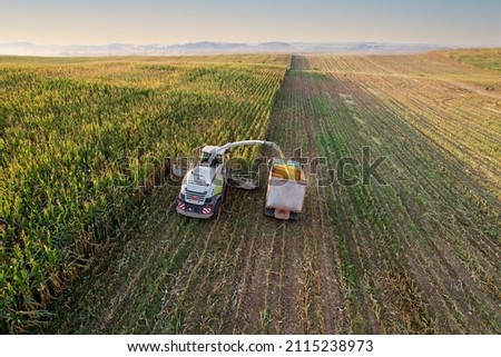 Maize Harvesting with Forage harvester in field, aerial view. Cutting Maize for agriculture and silage. Dump truck transports corn from field. Corn harvest season at farm. Self-propelled harvester.
 Royalty-Free Stock Photo #2115238973