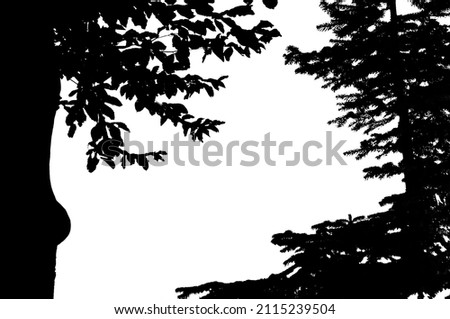 Trees silhouette, decorative frame illustration.Isolated.