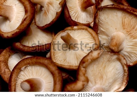 bunch of raw shitake mushrooms, shitake mushrooms being prepared for cooking, texture of shitakes, raw mushrooms texture for meal Royalty-Free Stock Photo #2115246608