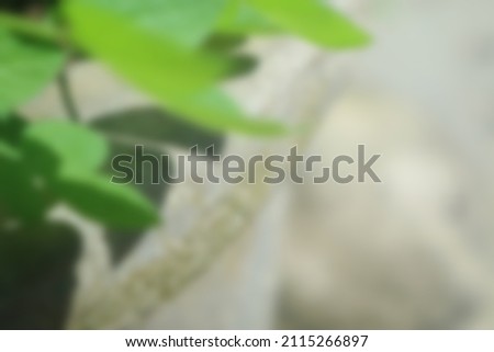vines with a defocused effect. Use for background or background in business concept             