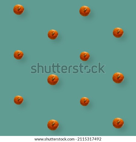 Colorful fruit pattern of fresh pumpkins on green background. Top view. Flat lay. Pop art design