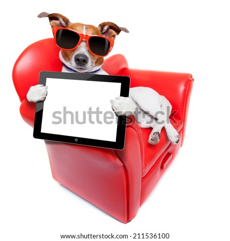 dog holding a blank and empty tablet pc computer  on a red fancy funny sofa , resting and relaxing
