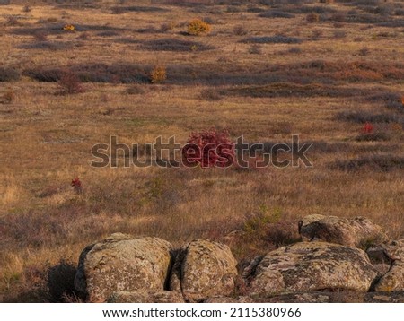 Autumn mountain landscape with red trees wild grass fields. Nature wallpaper poster. Scenic screensaver.