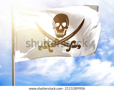 Flagpole with flag of Pirates white.