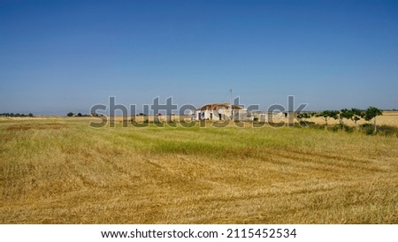 Rural landscape near Siponto, in Foggia province, Apulia, Italy, at June