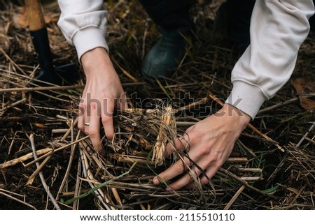 Close-up hands of unrecognizable survivalist male putting brushwood on campfire to making fire in forest. Concept of scout, research, travel and survival in nature. Royalty-Free Stock Photo #2115510110