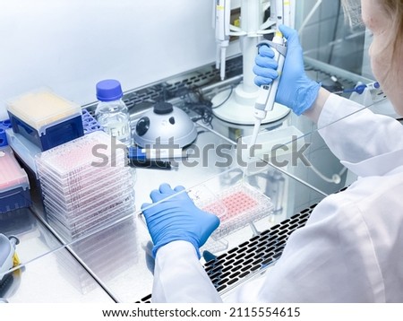 A laboratory technician performing biological activity evaluation of a new anticancer drug using elaborated laboratory equipment. The experiment is carried out in a sterile environment. Royalty-Free Stock Photo #2115554615