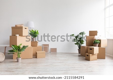 A lot of cardboard boxes with stuff and plants on floor in room with window without furniture in morning, free space, sun flare. Moving, buying new apartment, rent flat, credit and mortgage, nobody Royalty-Free Stock Photo #2115584291